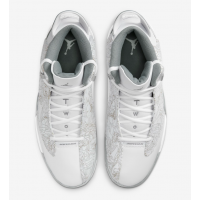 Nike Air Jordan Dub Zero White Cool Grey
